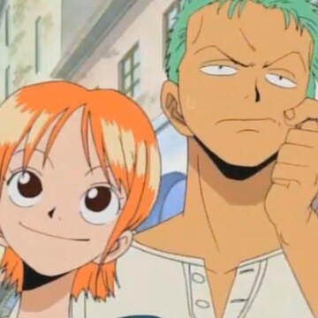 one piece zoro/nami